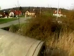 Hungarian street hooker engulfing jock outdoors