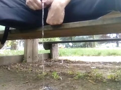 Kocalos - Pissing in a public park