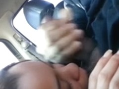 Black bitch doesn't mind sucking my dong while I drive