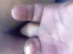 4 Fingers On a Fur Pie