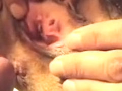 Crazy homemade Close-up, Hairy adult clip