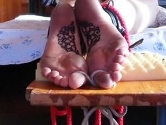 falaka soles tattoo