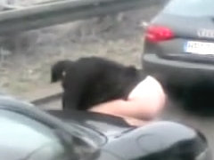 Shameless girl caught pissing on auto strada