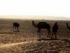 arabian desert camps pt2