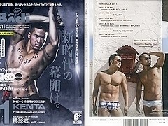 Disc BAdi 2011-01
